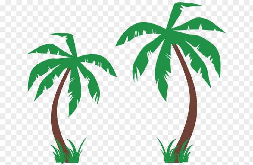 Wall Decal T-shirt Arecaceae Tree PNG