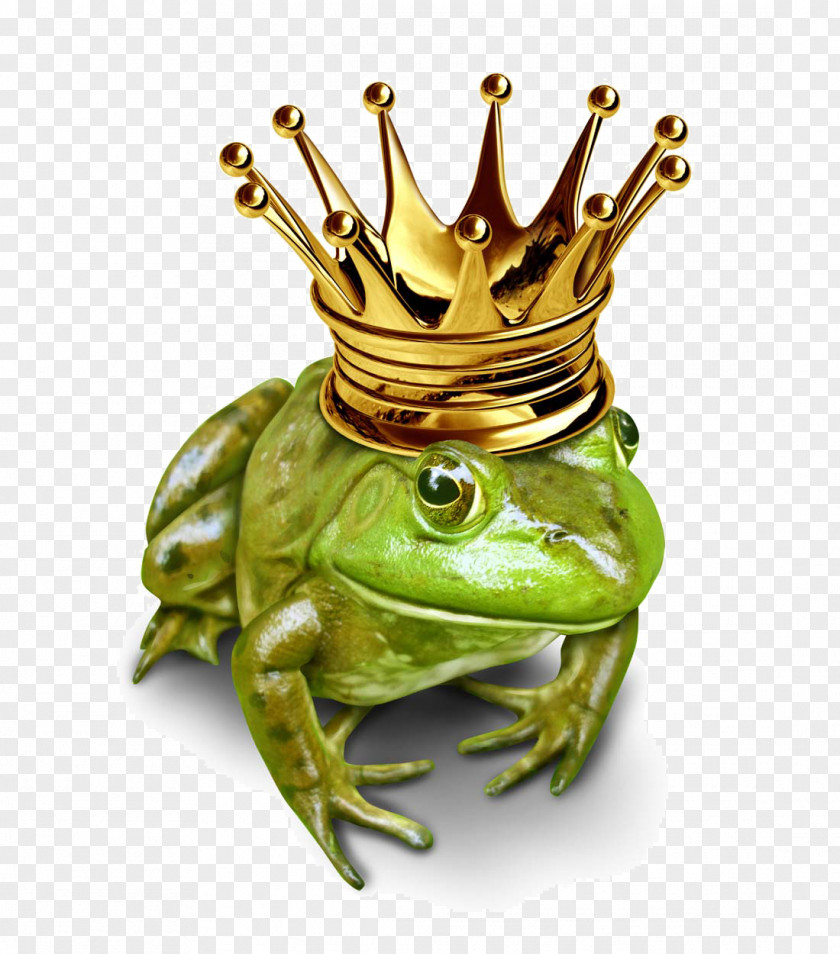 Crowned Frog The Prince Stock Illustration Photography PNG