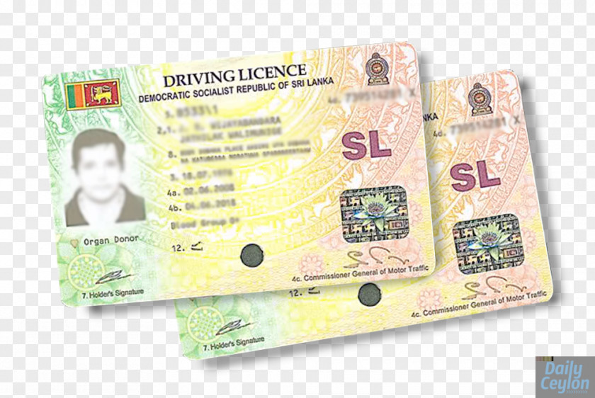 Driving License Driver's Licence In Sri Lanka Test Car PNG