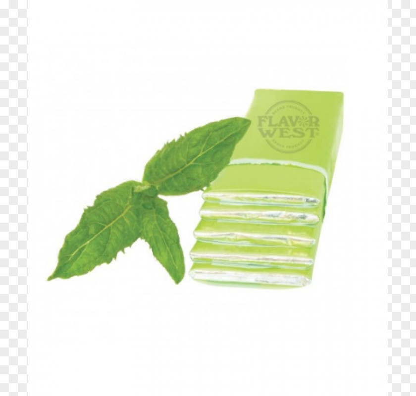 Gum Mint Flavor Herb Taste Sweetness Menthol PNG