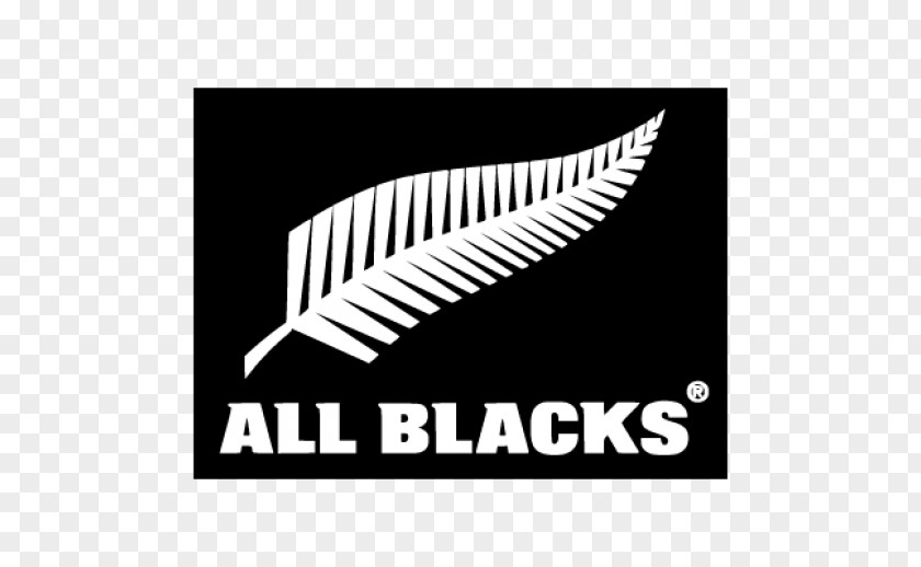 New Zealand National Rugby Union Team South Africa World Cup PNG