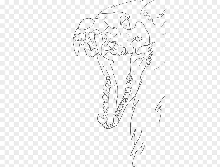 Angry Wolf Face Carnivora Drawing Line Art Skull Sketch PNG