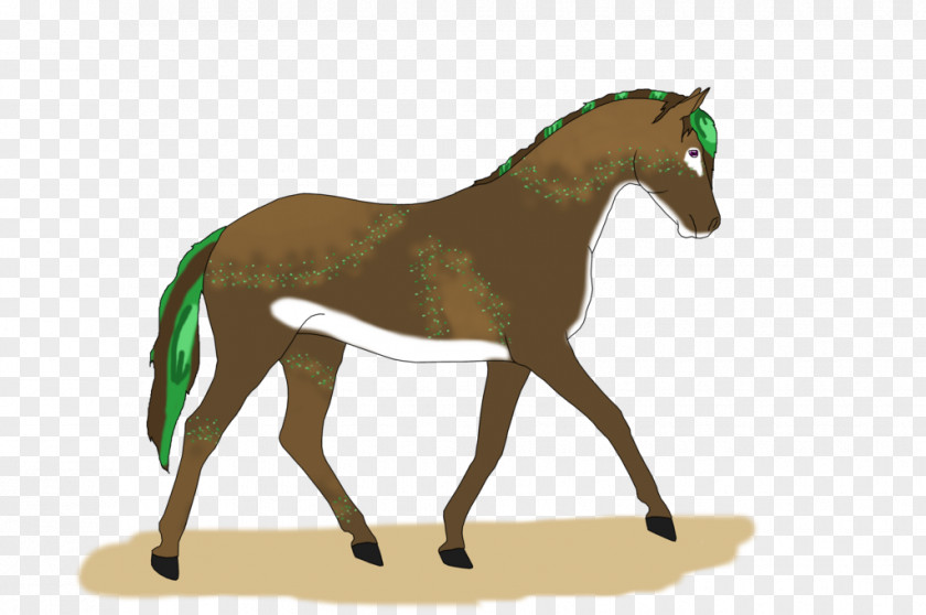 Common Reed Foal Stallion Mustang Mare Colt PNG