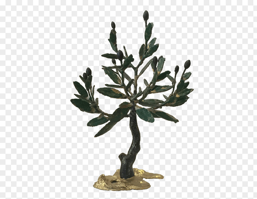 Olive Tree Flowerpot Branching Plant Stem PNG