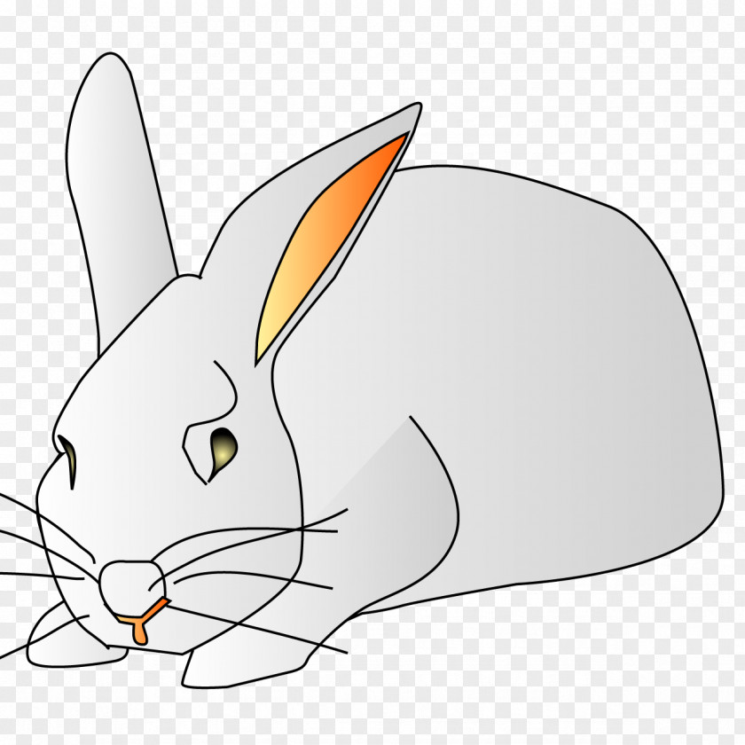 Rabbit Cat Hare Domestic Whiskers Pet PNG