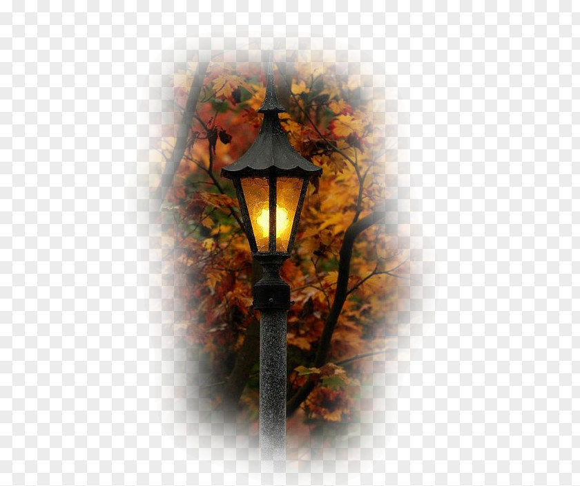 Sam Hop 2011 Street Light Autumn Lantern Photography PNG