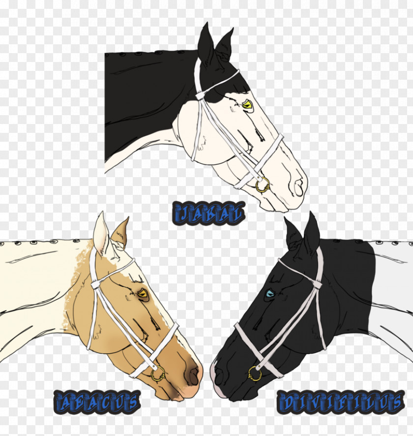 3 Years Old Horse Halterneck PNG