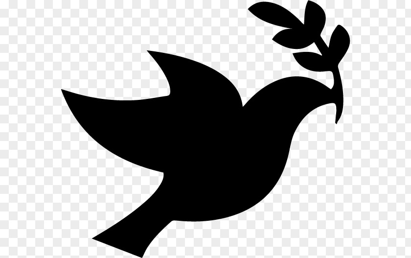 Baptism Dove Columbidae Peace Doves As Symbols Clip Art PNG