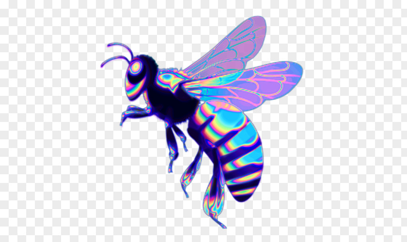 Bee Western Honey Insect Beehive PNG