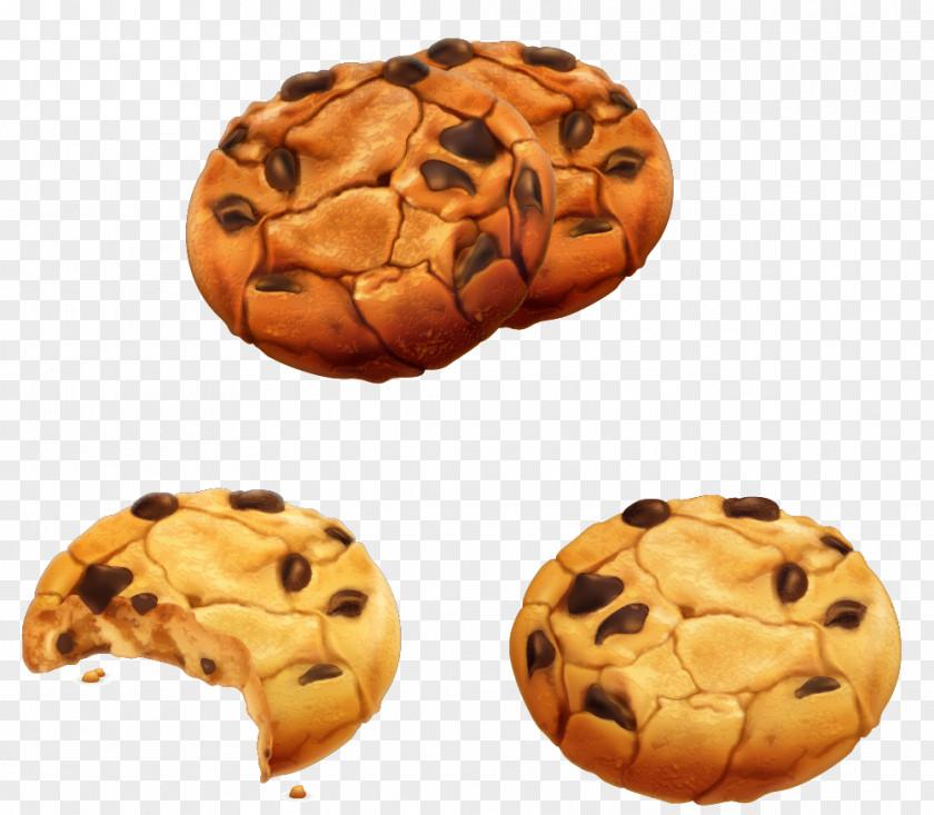 Cookie Material Chocolate Chip Biscuit Illustration PNG