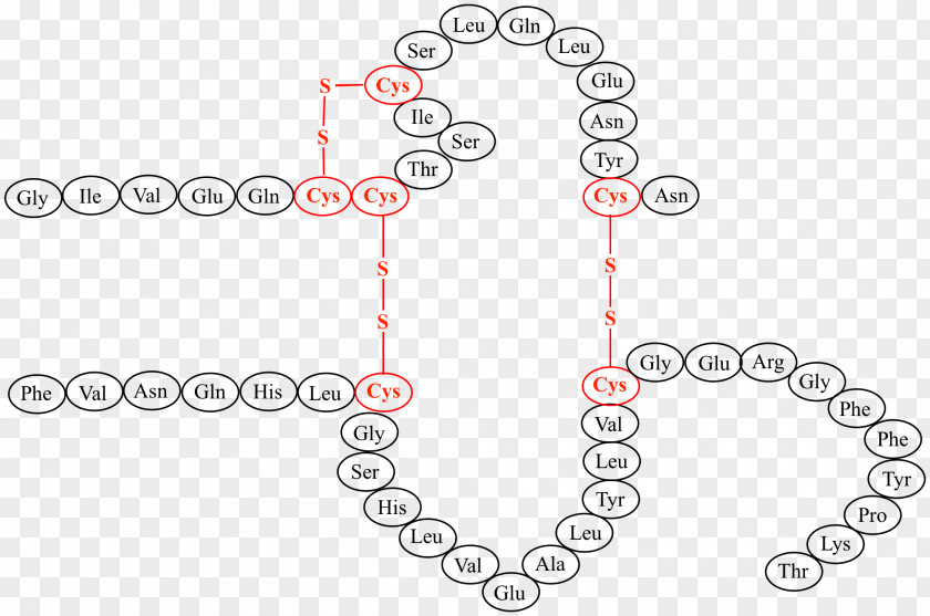 Disulfide Cysteine Amino Acid Cystine Protein Structure PNG