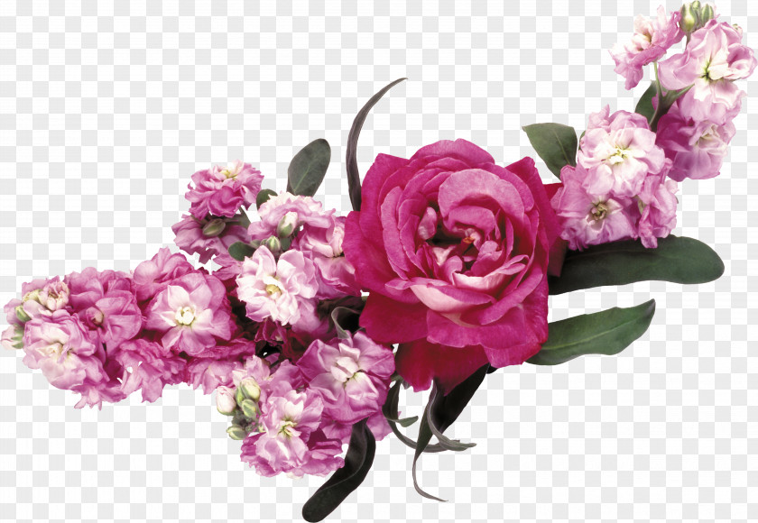 Flower Crown Garden Roses Pink PNG