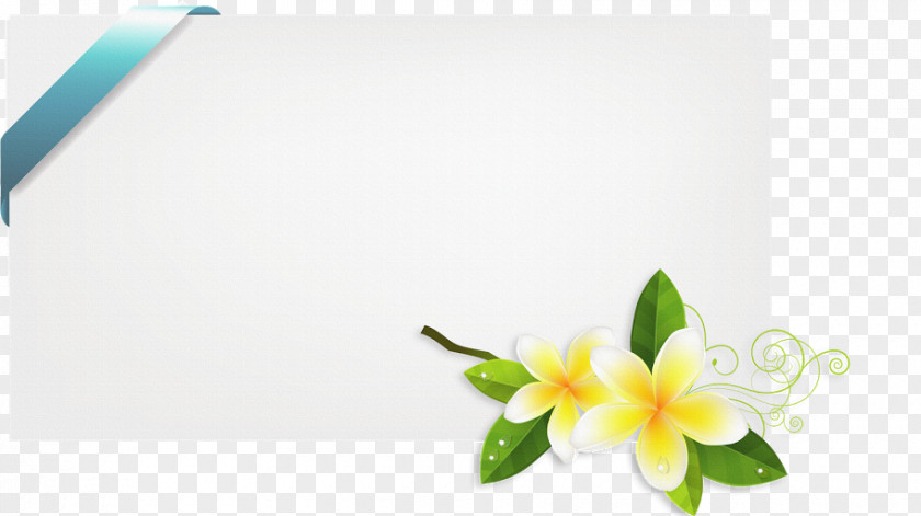 Photography Author Albom Floral Design Clip Art PNG