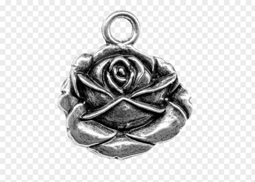 Wild Rose Locket Earring Silver Jewellery Charm Bracelet PNG