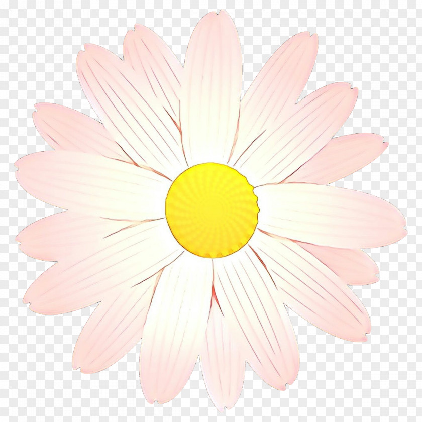Daisy PNG