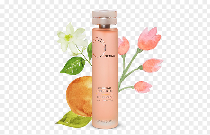 Ginseng Fruit Perfume Berdoues Shiseido Cosmetics Beauty PNG