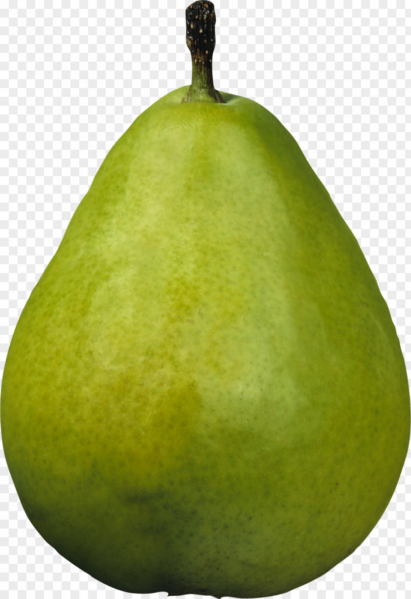 Green Pear Image Asian Williams Clip Art PNG