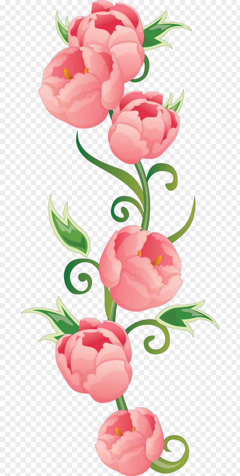 Peony Flower Floral Design Clip Art PNG