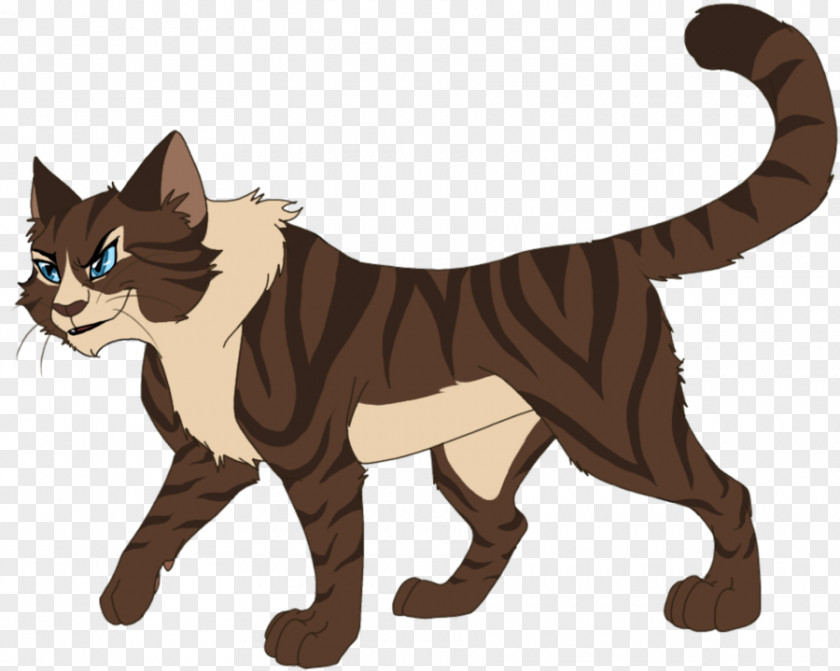 Cat Warriors Cats Of The Clans Hawkfrost Last Hope PNG