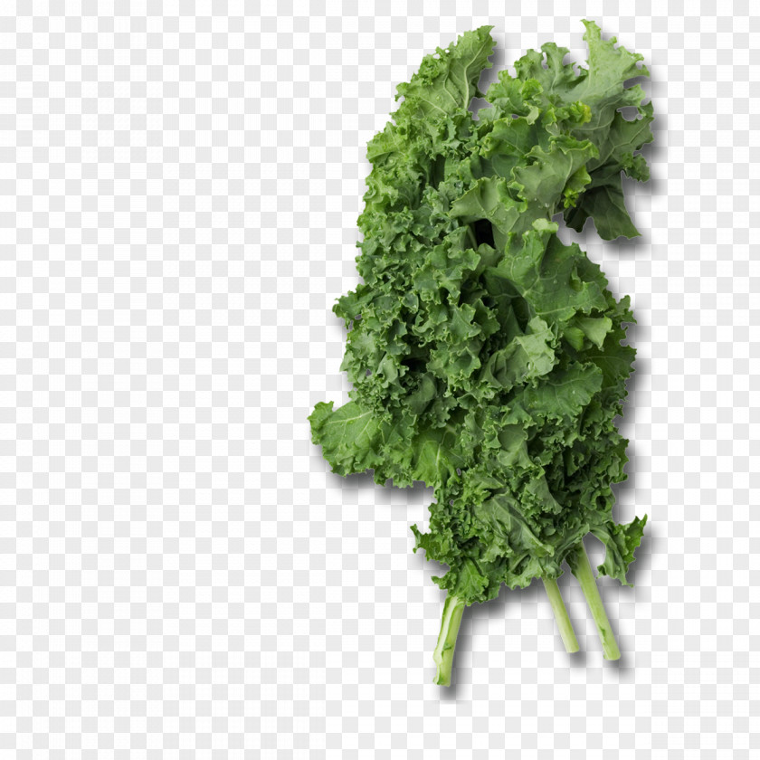 Chou Smoothie Lacinato Kale Collard Greens Leaf Vegetable PNG