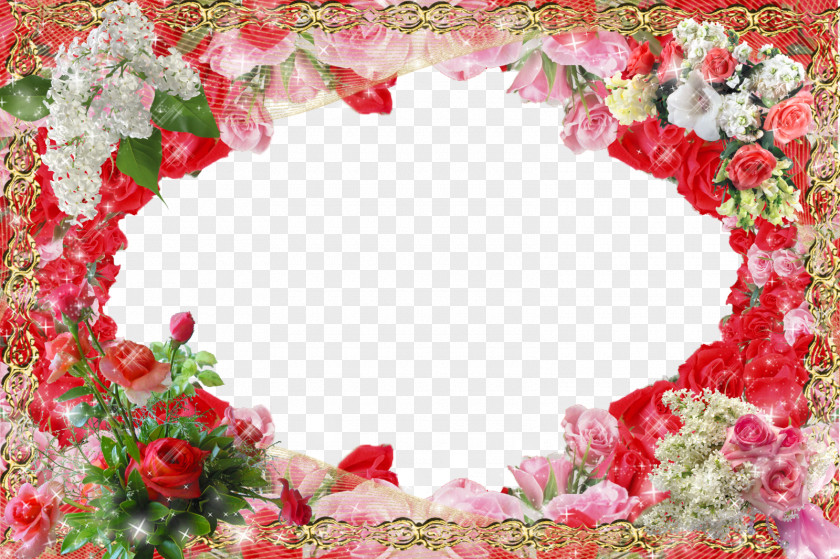 Frames Flower Picture PNG