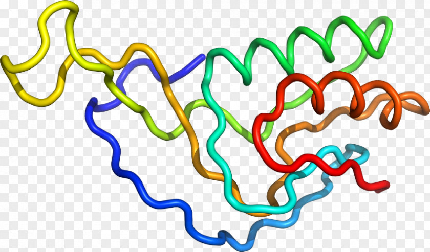 Line Organism Clip Art PNG