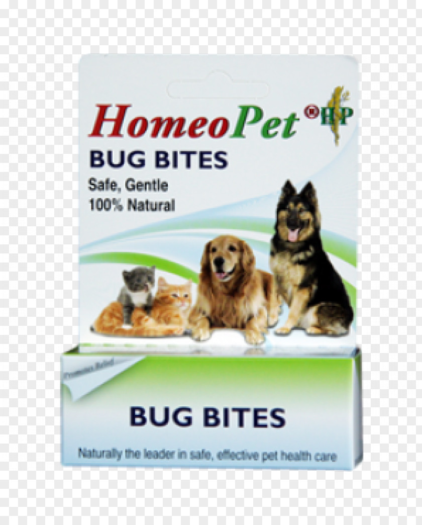 Mosquito Bite Dog Insect Bites And Stings Animal Cat Allergy PNG