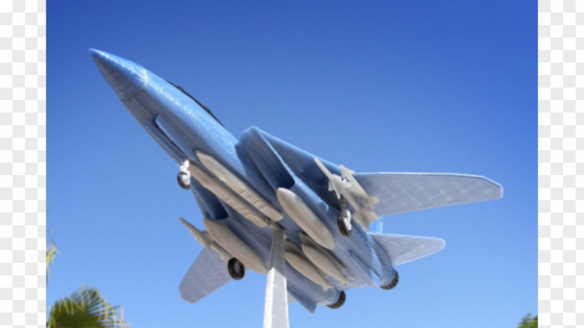 Shop Goods Grumman F-14 Tomcat Fighter Aircraft STL Ciljno Nalaganje PNG