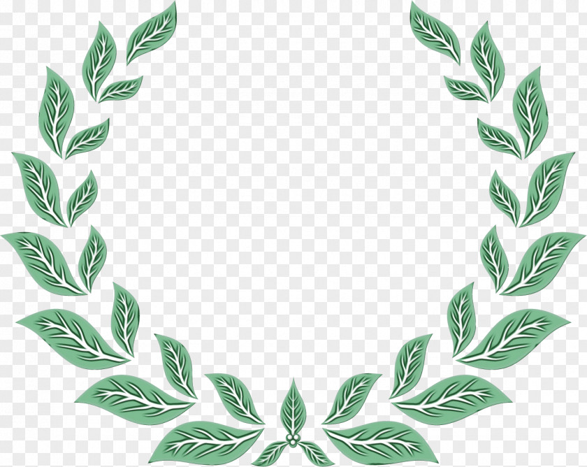 Vascular Plant Flower Green Leaf Logo PNG