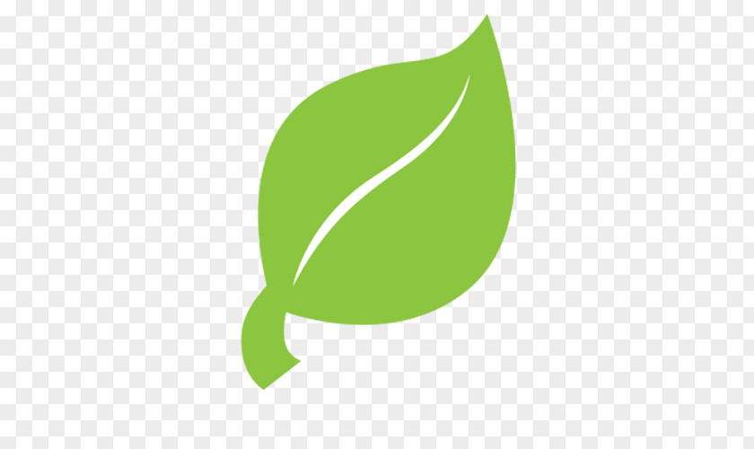 Vector Leaves Hobby And Garden Center Technology Sustainability Environmentally Friendly Green PNG