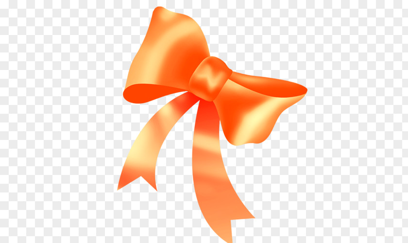 Bow Icon PNG