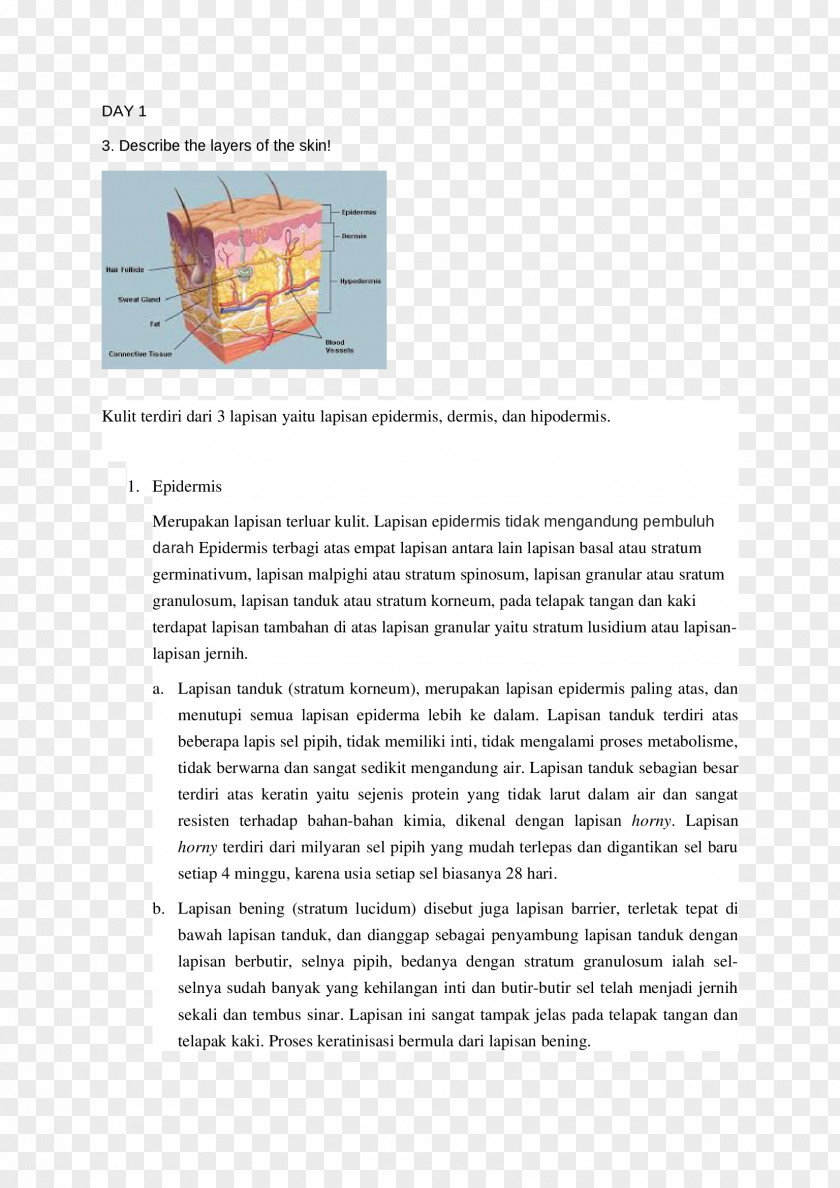 Design Document Line PNG