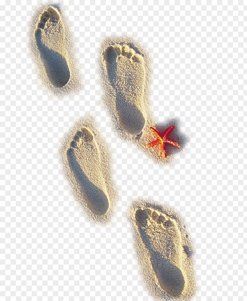 Four Beach Footprints Sand Footprint PNG