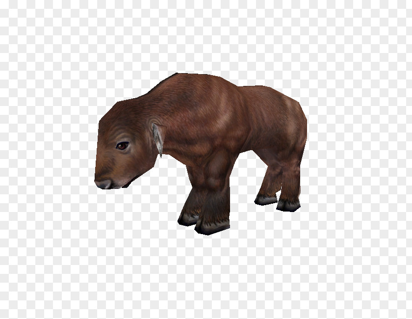 Buffalo Calf Zoo Tycoon 2 Cattle African Water Ox PNG