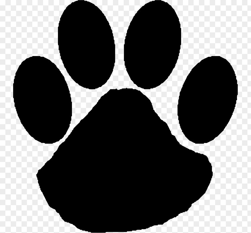 Cat Wildcat Paw Clip Art PNG