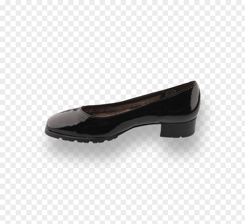 Design Ballet Flat Shoe PNG