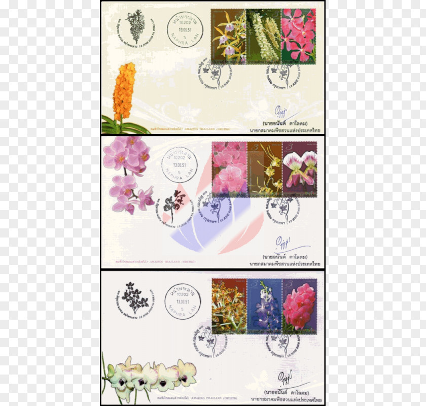 Flower Paper Picture Frames Rectangle Font PNG