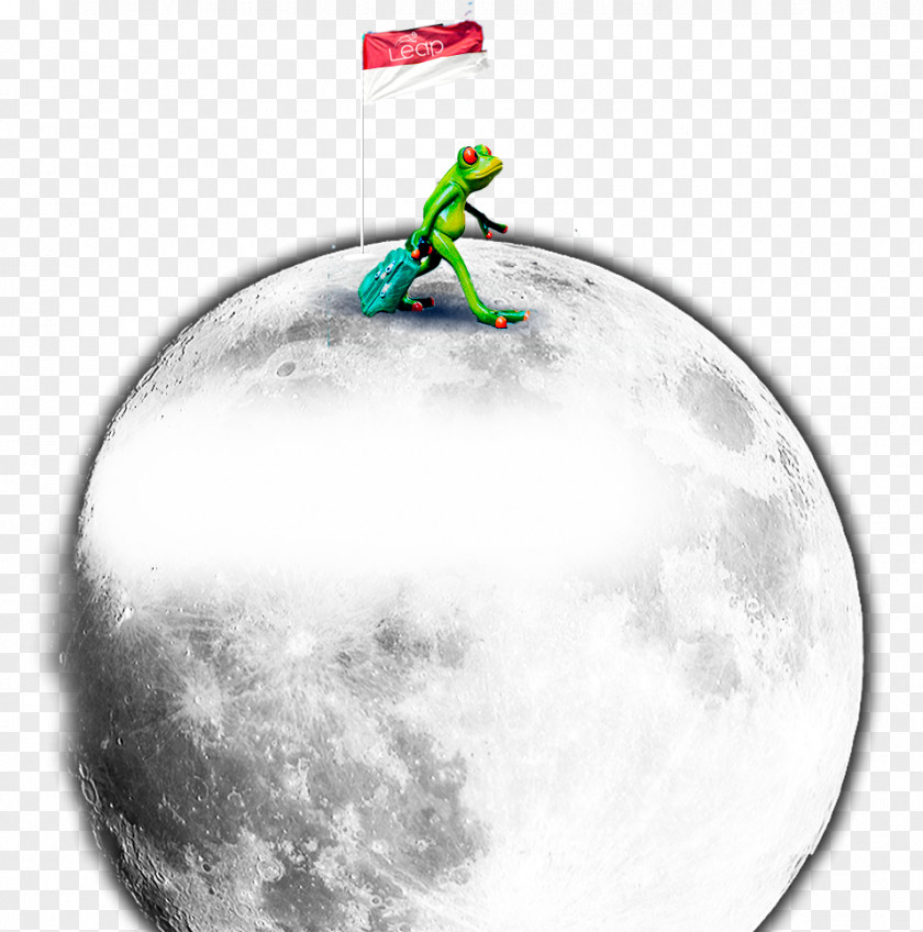 Moonfrog Sporting Goods Moon PNG