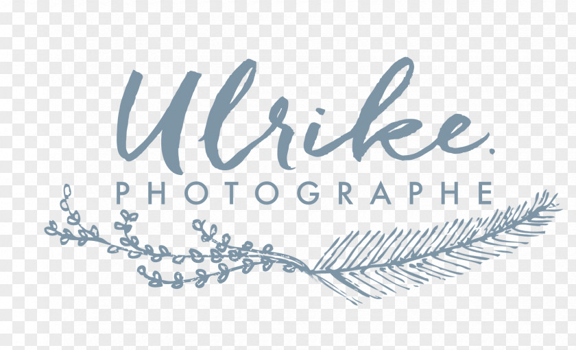 Photographer Ulrike Photographe Wedding Photography Marriage PNG