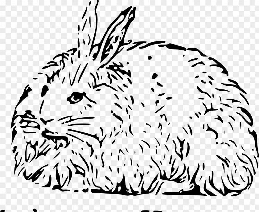 Rabbit Angora Easter Bunny Hare Domestic Clip Art PNG