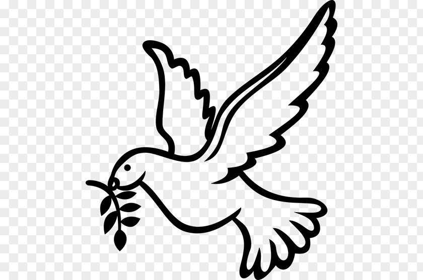 Taube Confirmation In The Catholic Church Visual Arts Columbidae Clip Art PNG