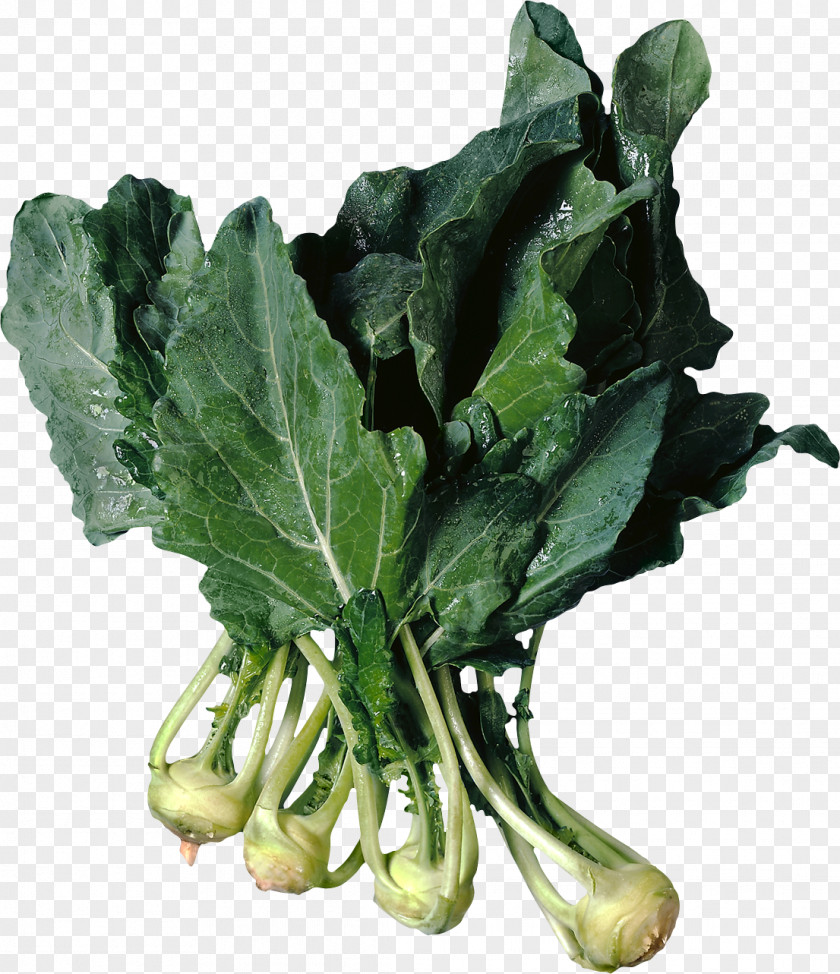 Turnips Turnip Greens Kohlrabi Vegetable Food Collard PNG