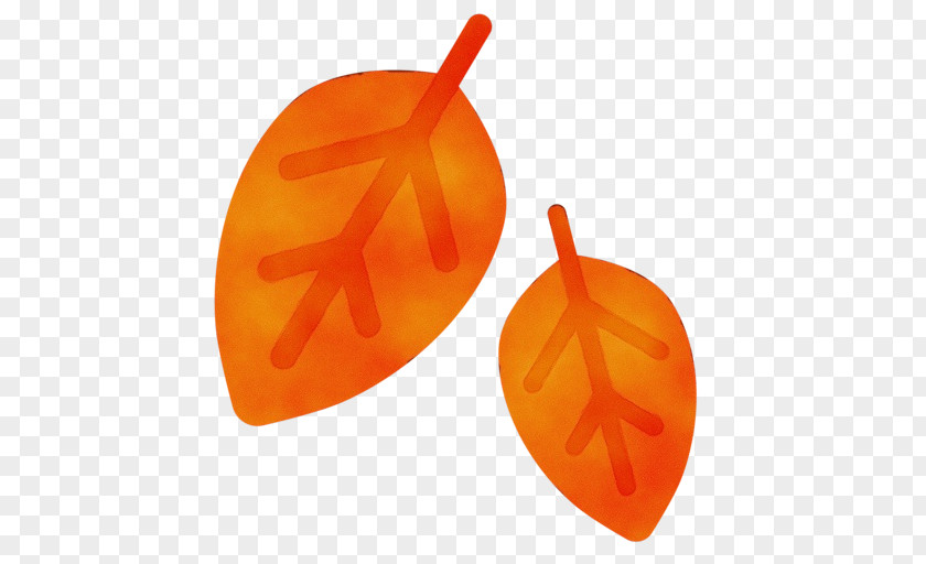 Yellow Orange Fruit Cartoon PNG