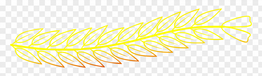 Angle Line Feather Yellow Product Design PNG