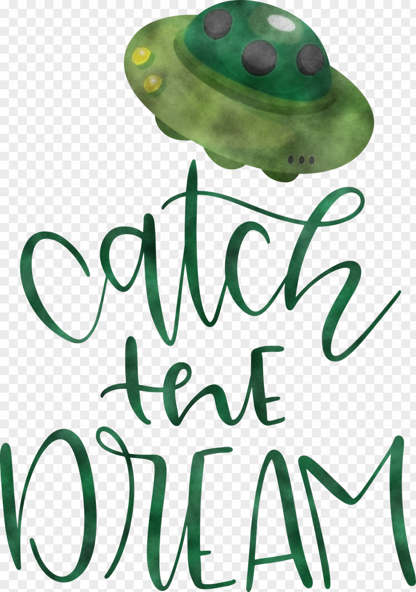 Catch The Dream PNG