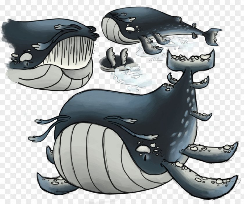 Design Marine Mammal Cartoon PNG