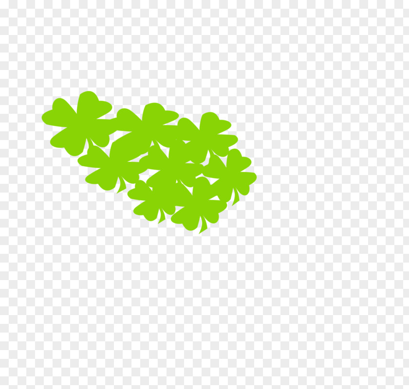 Many Clover Four-leaf Green PNG