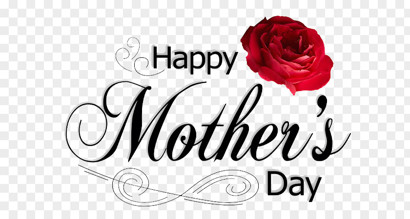Mother's Day PNG Transparent Images Mothers Fathers Greeting Card Happiness PNG