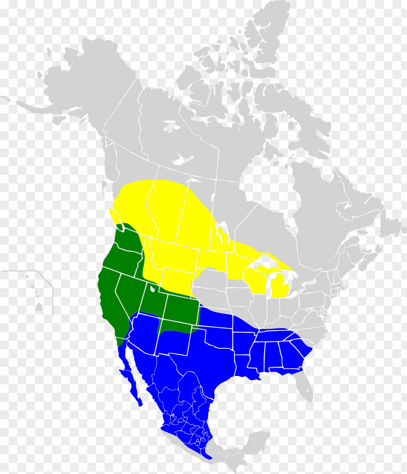 United States Map The Whooping Crane American Bison Spotted Bat PNG