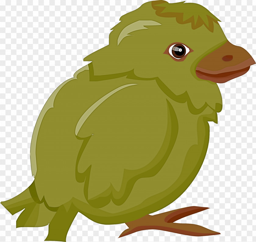 Baby Chicken PNG